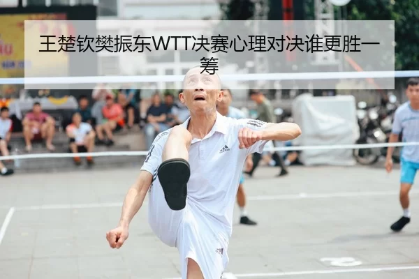 王楚钦樊振东WTT决赛心理对决谁更胜一筹